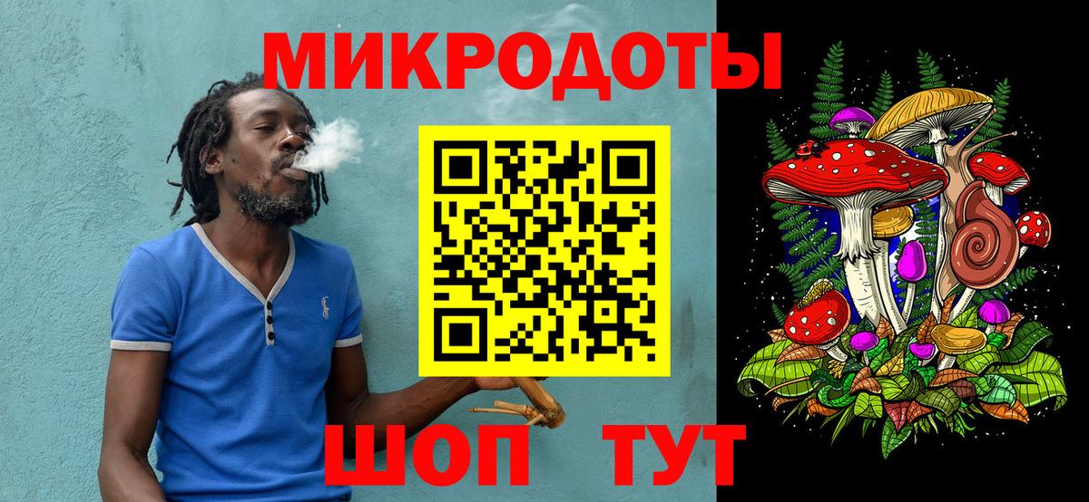 Галлюциногенные грибы Psilocybine cubensis Рубцовск