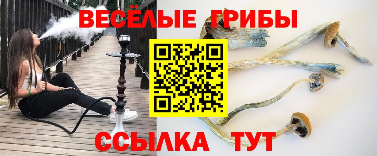 Рубцовск  Галлюциногенные грибы Cubensis  Вход с VPN 